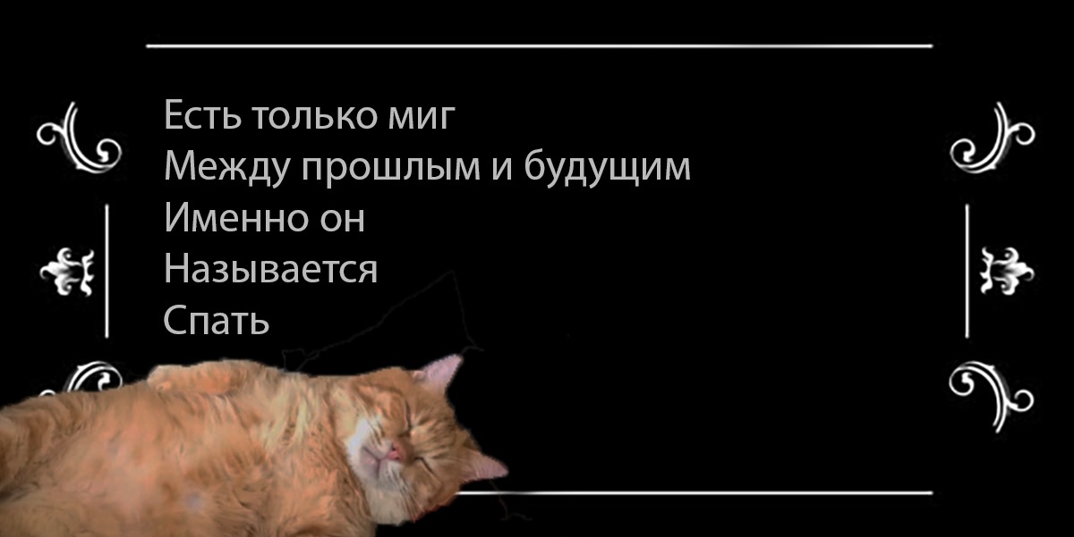 Цитаты про котов