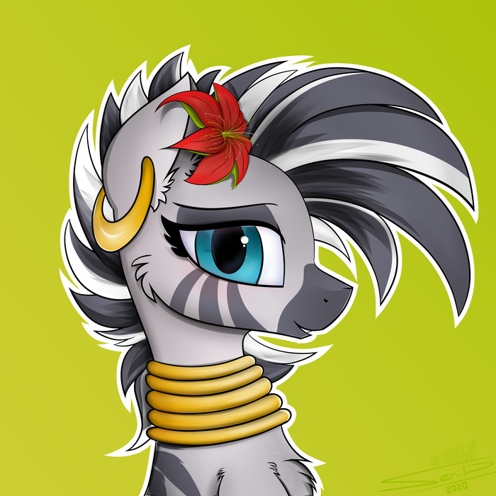  Zecora, My Little Pony, MLP Zebra, 