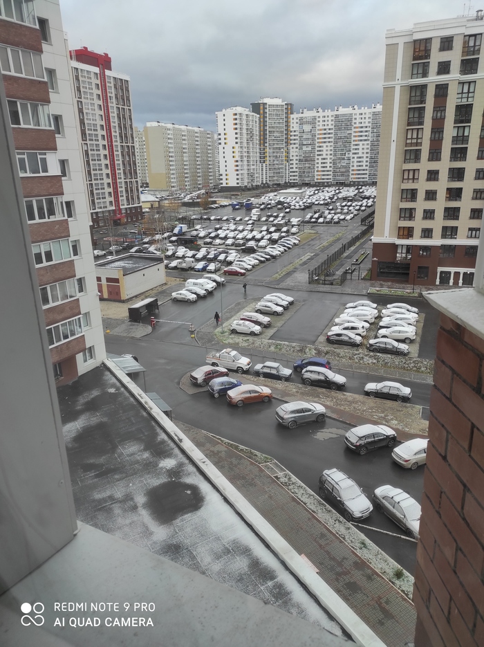 ������ ����