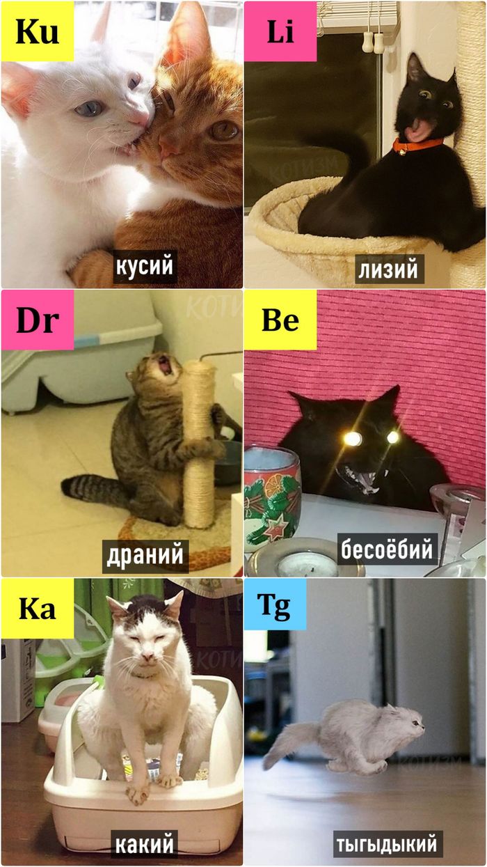 ������������� ����-�������