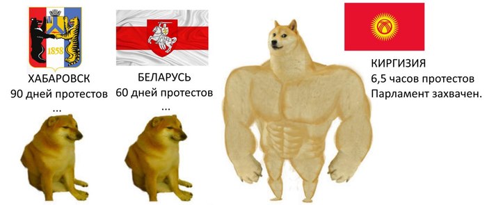  , ,  , , Doge, ,   