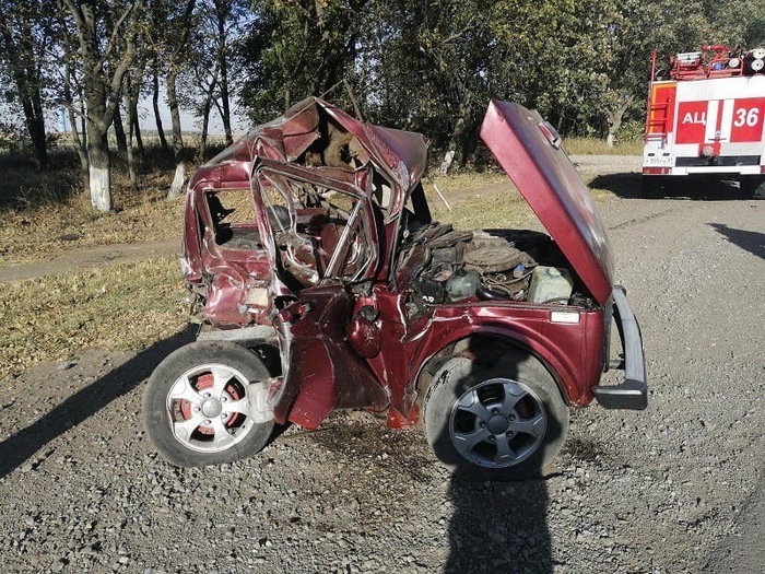 ���� ���