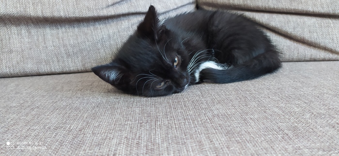 ������� � ������