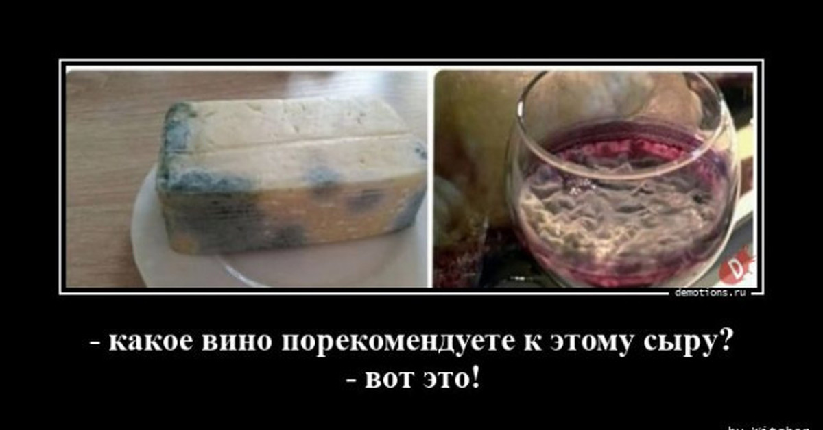 Какое Вино Купить К Сыру