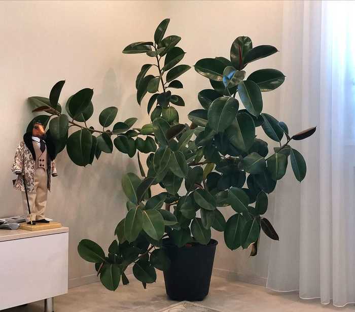 &quot;        ...&quot;