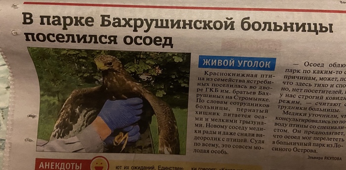 ������ ����� ���...