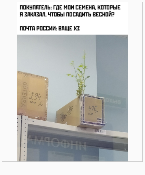 Хм и правда Юмор, Из сети, Почта России, Семена, AliExpress, Мемы