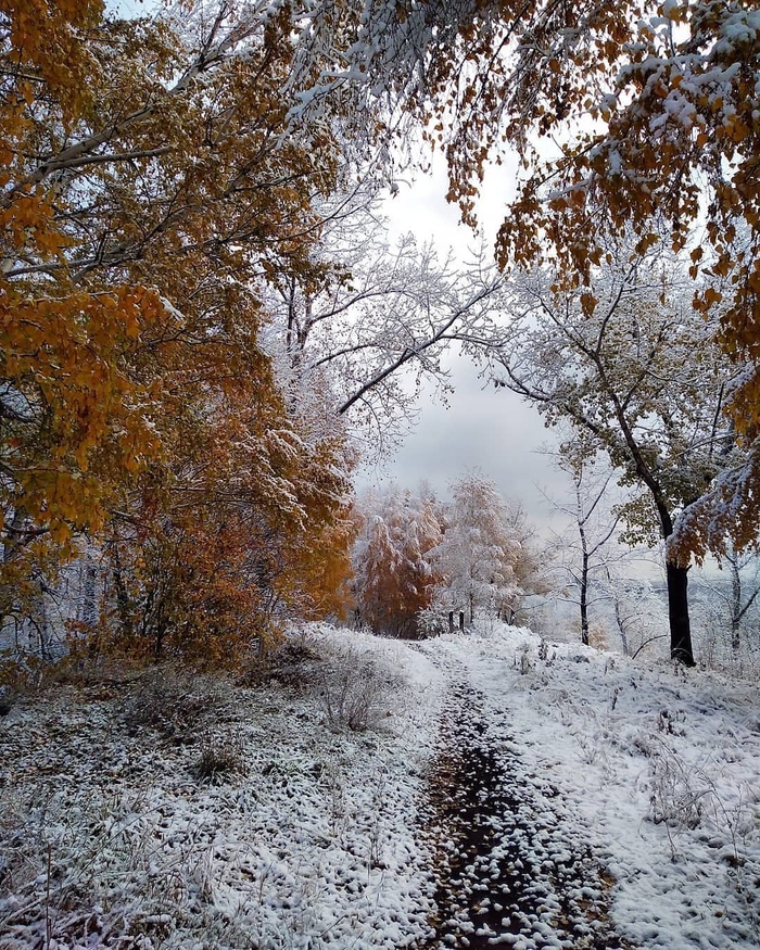 ������ ���� � ������������, ����������� �������