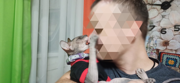 ��������� ����