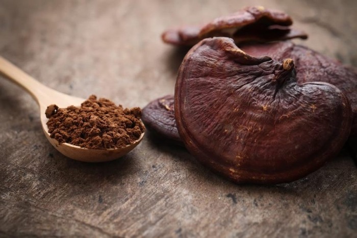 Гриб Рейши (Ganoderma Lucidum) Рейши, Грибы, Длиннопост