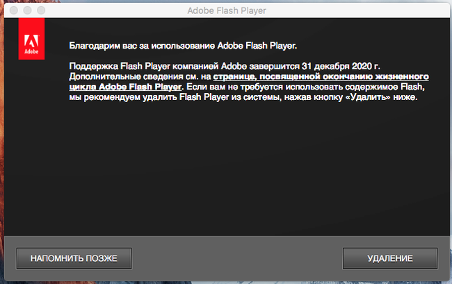 Flash Player -  ,  ??     ??