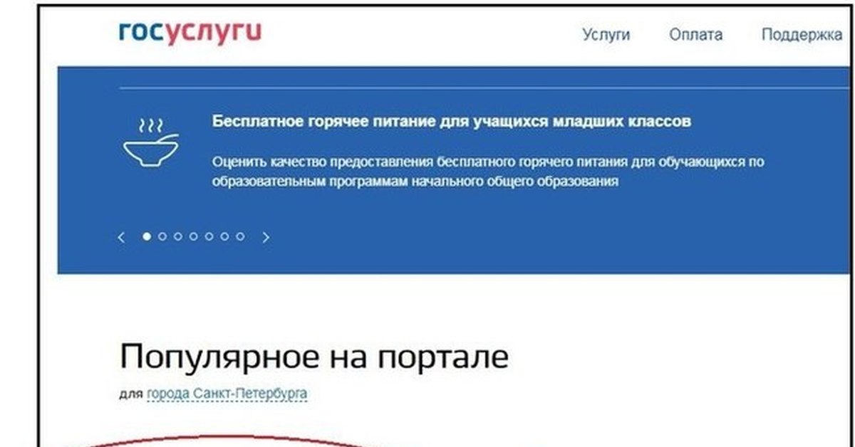 Госуслуги картинки приколы