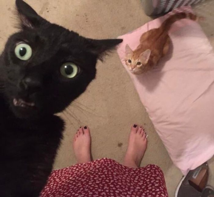 &quot;     ,        ?&quot;