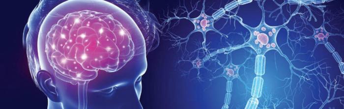 ������� ������� ����������� ��������