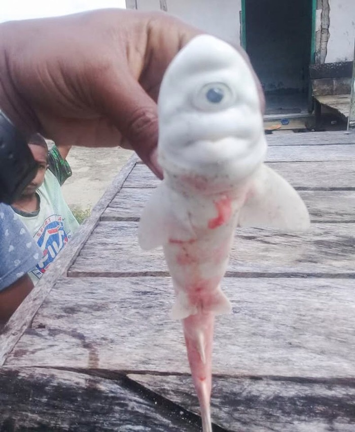      , , , 