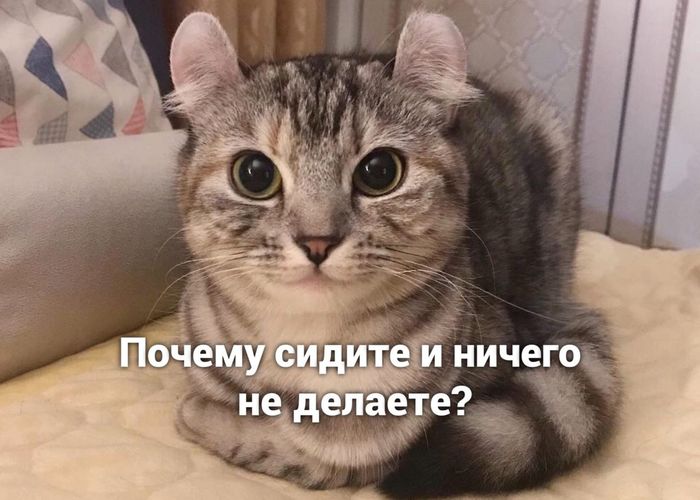  ... , , , ,   