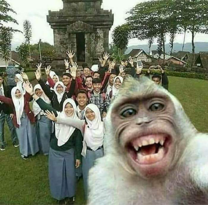 �������� ����������