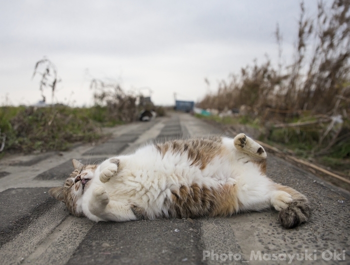 «Не ложитесь сразу после еды»