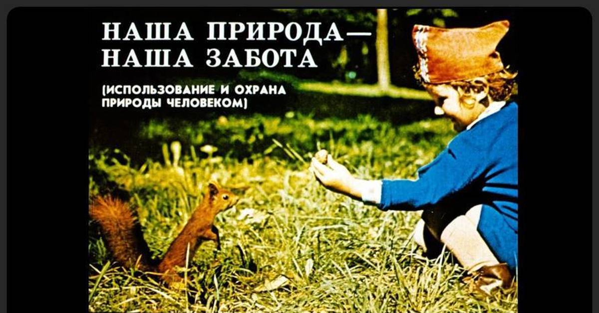 Наша забота. Диафильмы про природу. Диафильмы для детей о природе. Студия диафильм наша природа. Наша природа наша забота.