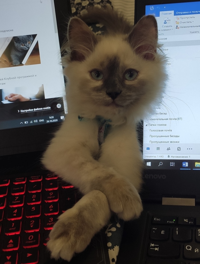 �����, �������� ���, ��� �� ��� �� ������� ���������