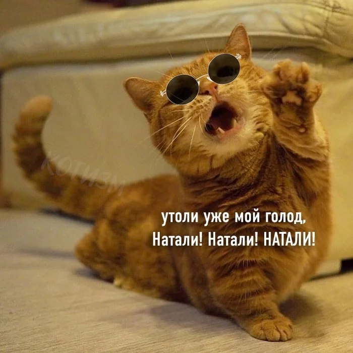 А теперь КотоЛепс Кот, Григорий Лепс, Длиннопост, Картинка с текстом