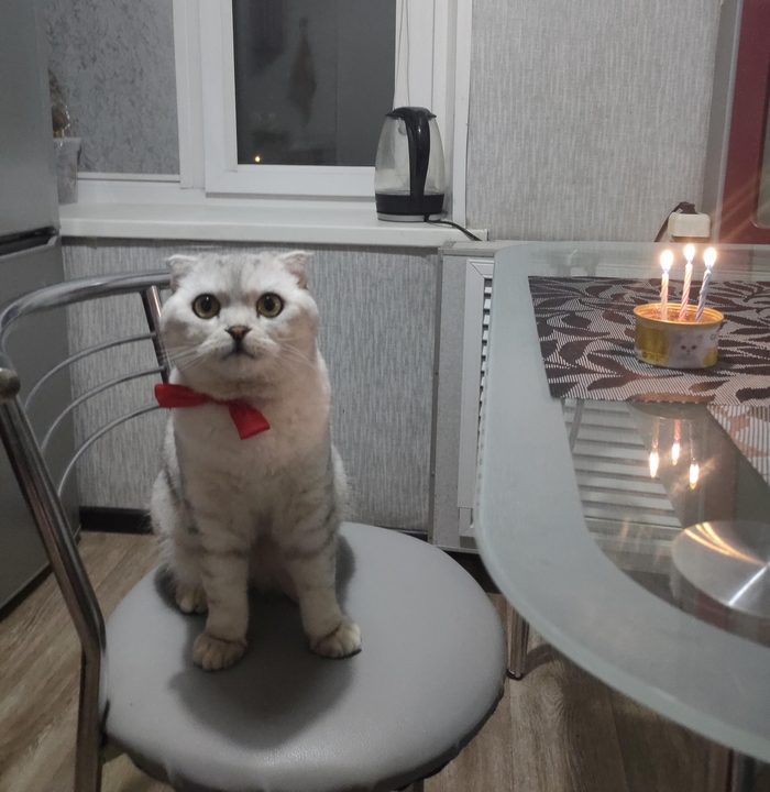 �� ����- 3