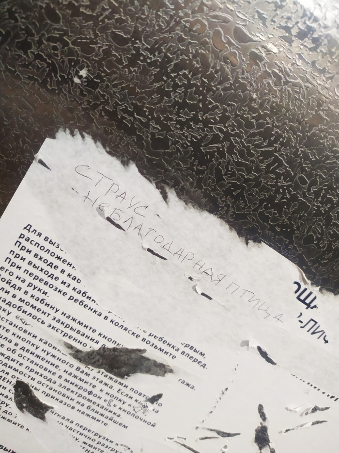 Что?) Зачем?) И почему?)