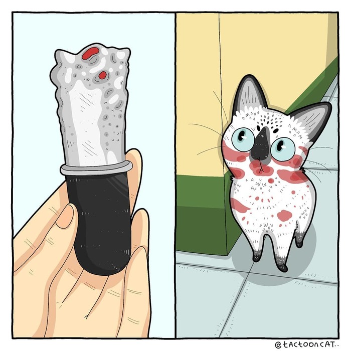   ? ,  , , Tactooncat