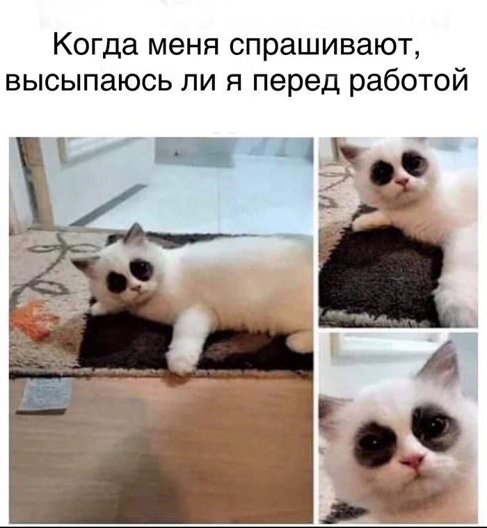 ����� ��������