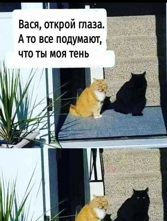      ,  , ,   