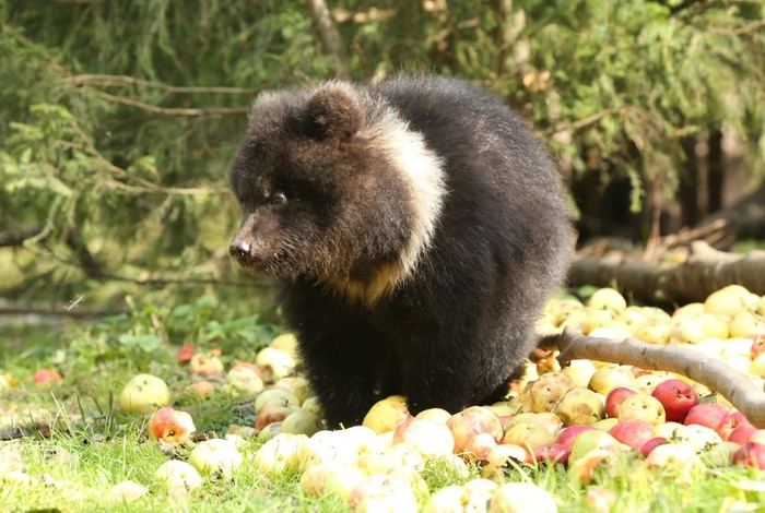 Малышка Пужа будет зимовать под присмотром...