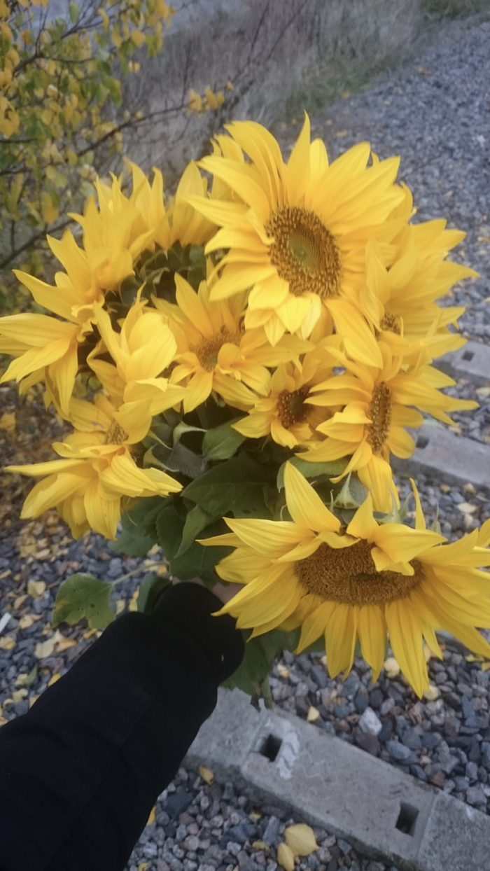 ��� ����� � ������� ����� �����...