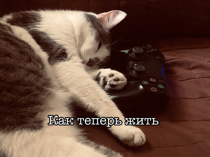 Когда прошёл любимую игру
