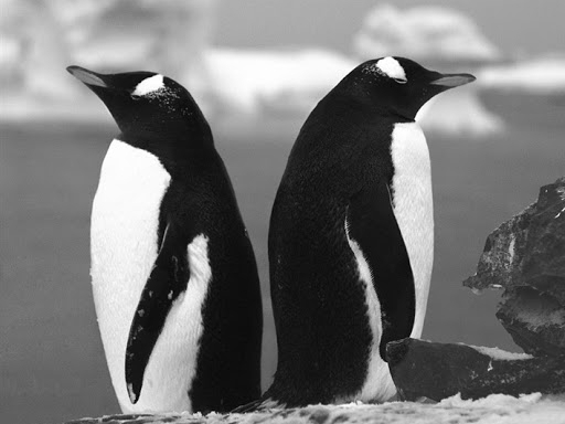 Алё, не слышно