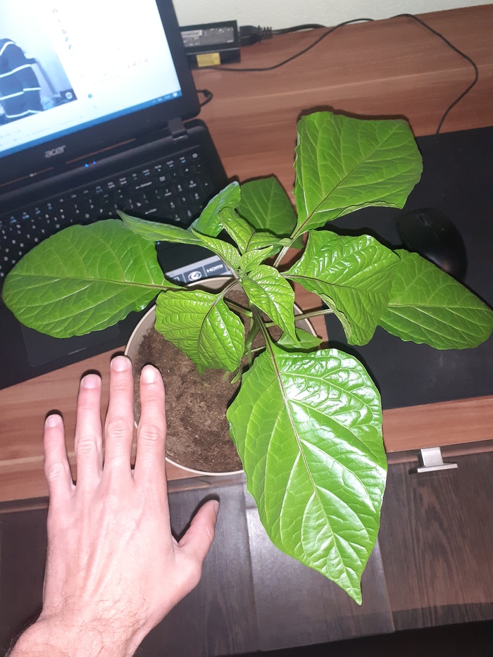 Нужен совет