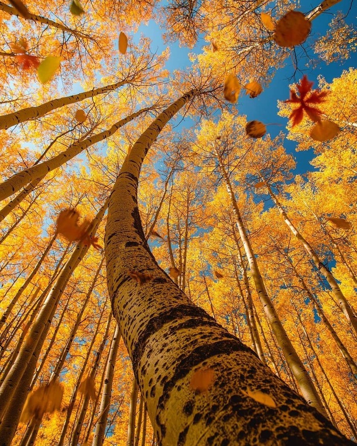 Красивая траектория