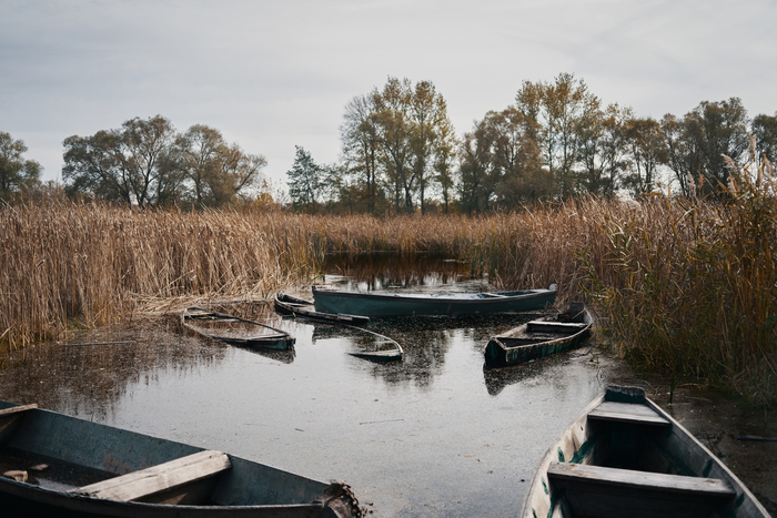 �� ����� ��� �������