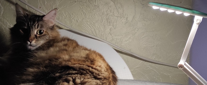 Ответ на пост «Чьи деньги?»