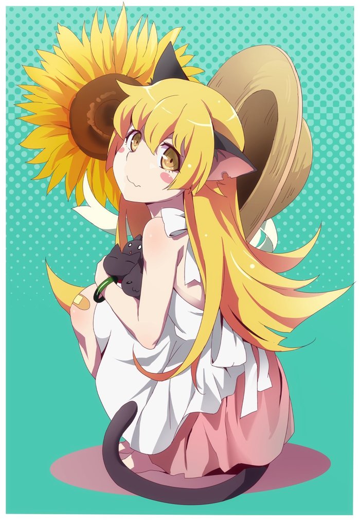 Neko Shinobu