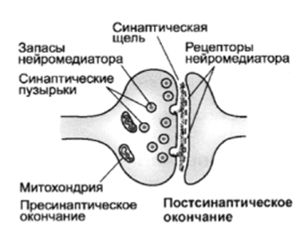 Что будет если не спать неделю можно ли умереть