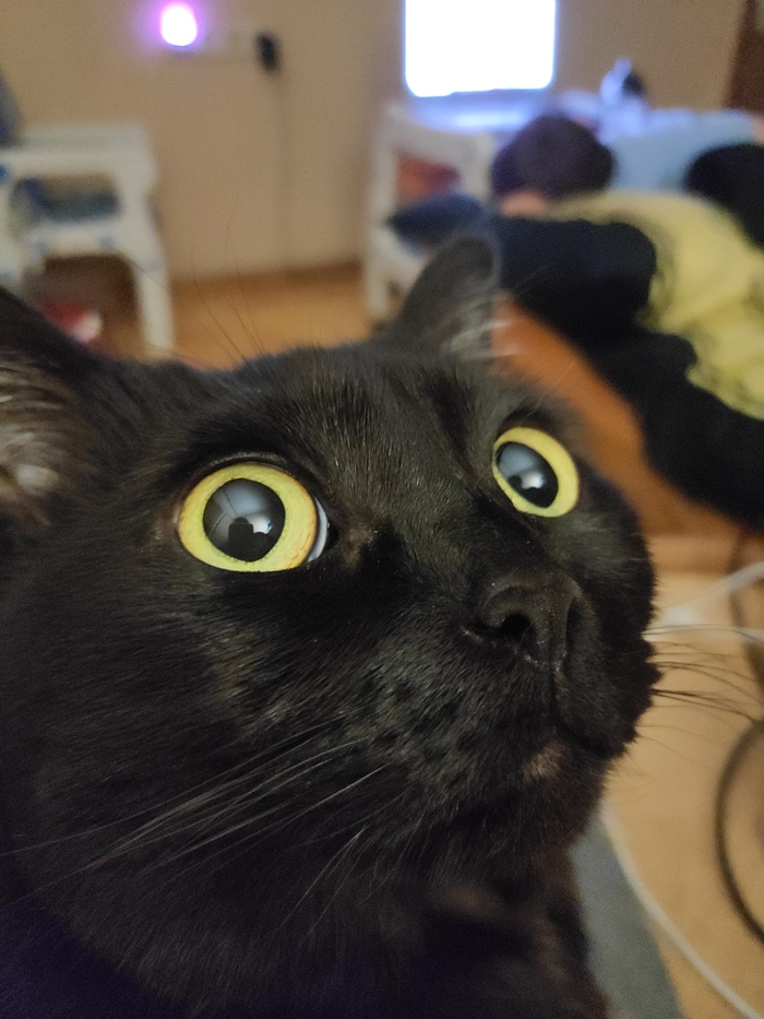  , , ,  