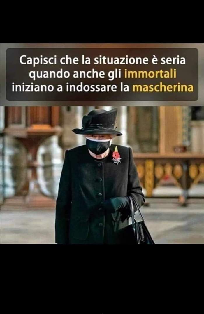 ��������� ����