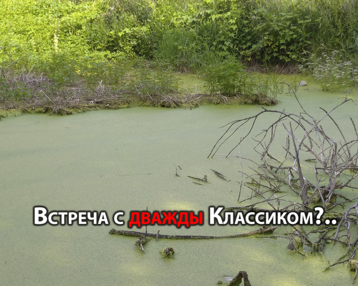 что такое блеф клуб. Смотреть фото что такое блеф клуб. Смотреть картинку что такое блеф клуб. Картинка про что такое блеф клуб. Фото что такое блеф клуб