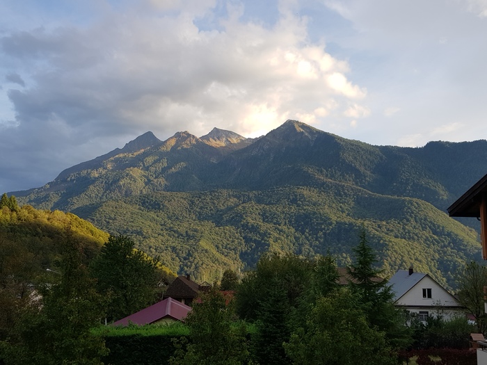 ���� �������������� ����