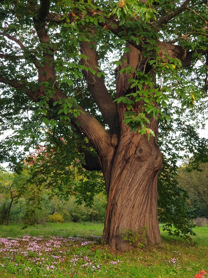 ����� � �������