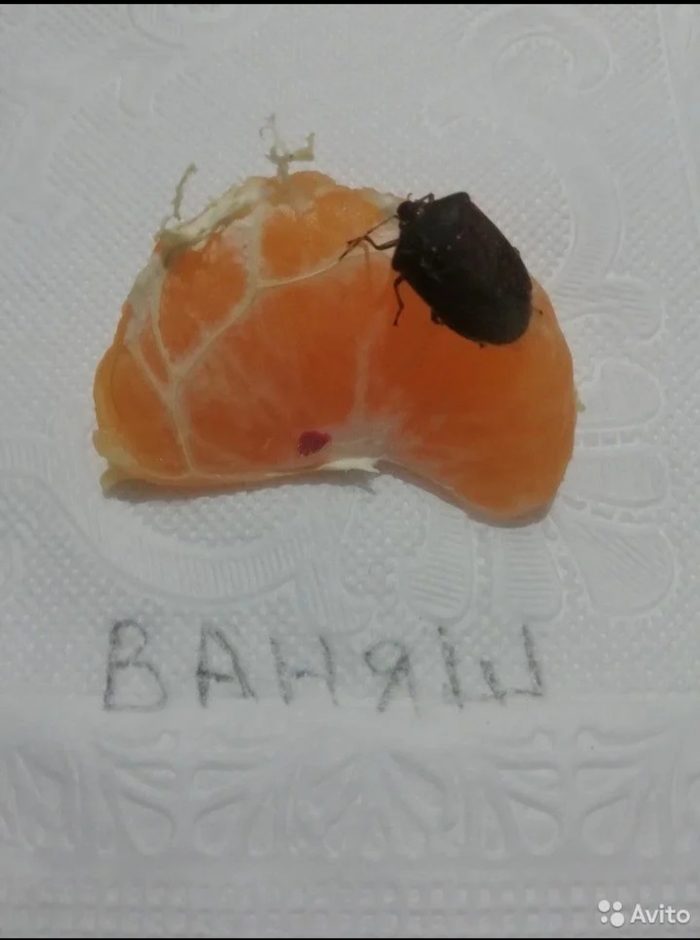  -  , , , 