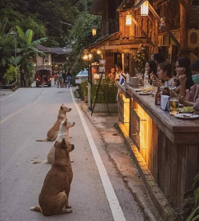 100 к 1 что упало и пропало. Смотреть фото 100 к 1 что упало и пропало. Смотреть картинку 100 к 1 что упало и пропало. Картинка про 100 к 1 что упало и пропало. Фото 100 к 1 что упало и пропало 100 к 1 что упало и пропало. Смотреть фото 100 к 1 что упало и пропало. Смотреть картинку 100 к 1 что упало и пропало. Картинка про 100 к 1 что упало и пропало. Фото 100 к 1 что упало и пропало