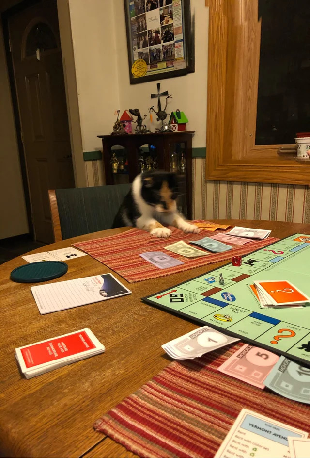 А ну плати мне!!!