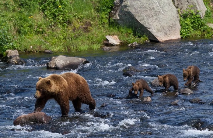 ���������