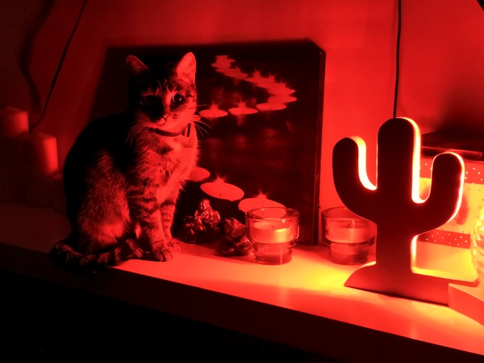 ��� � ������